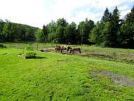 7-25-15 Shadows of the Old West CNY Living History Center 202.JPG